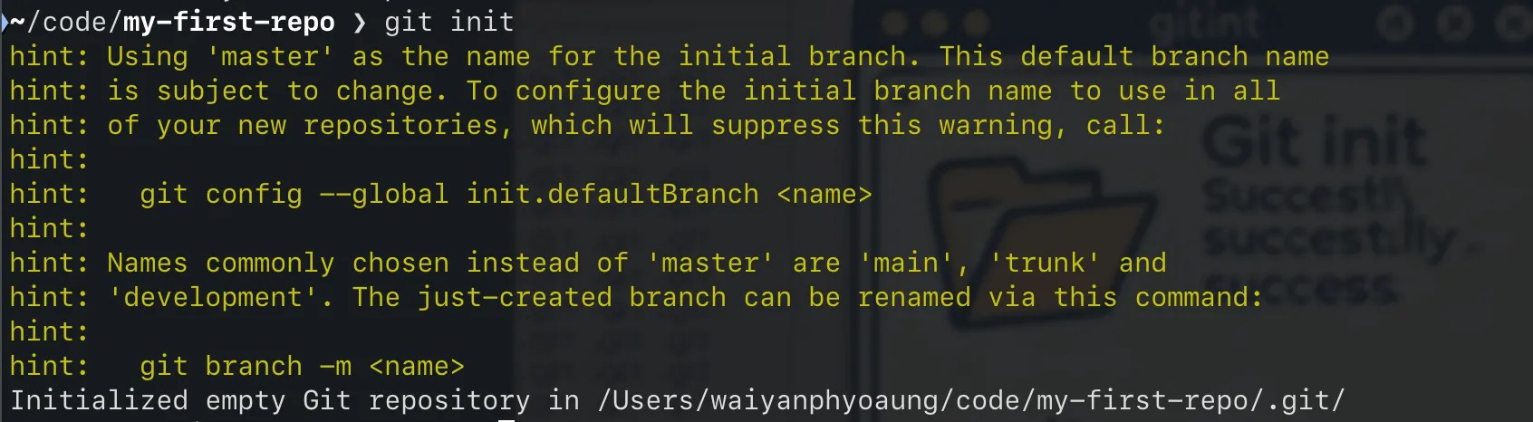 git init command